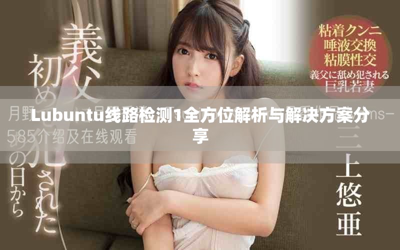 Lubuntu线路检测1全方位解析与解决方案分享