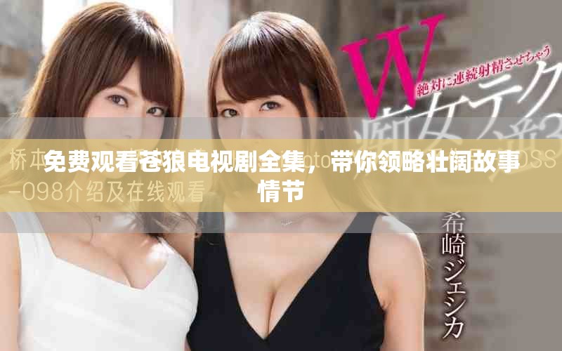 免费观看苍狼电视剧全集，带你领略壮阔故事情节