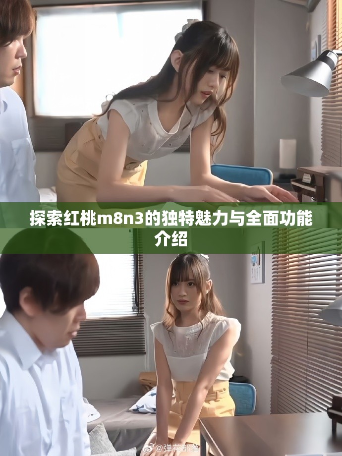 探索红桃m8n3的独特魅力与全面功能介绍